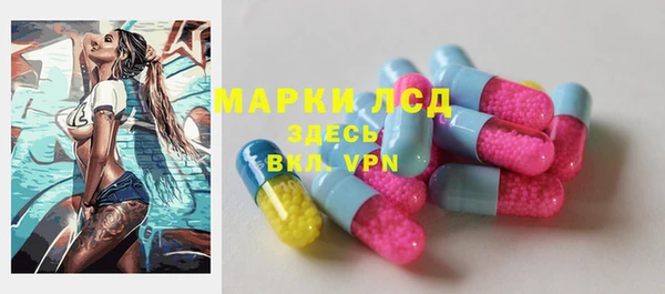 спиды Зеленокумск