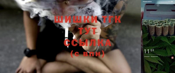 спиды Зеленокумск