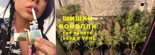 спиды Зеленокумск