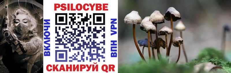 Купить закладки  Зверево  Галлюциногенные грибы мухоморы 